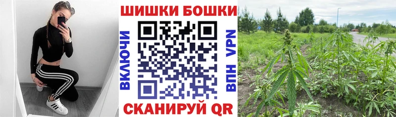 Марихуана THC 21%  kraken как войти  Тайга  продажа наркотиков 